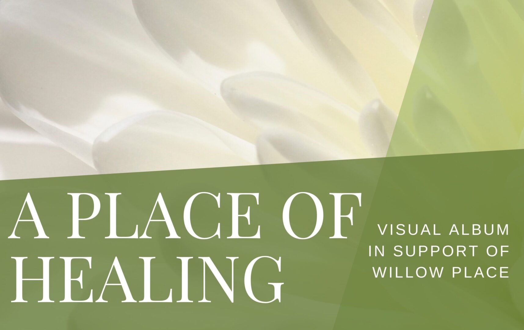 A place of healing : visual arts in support of willow