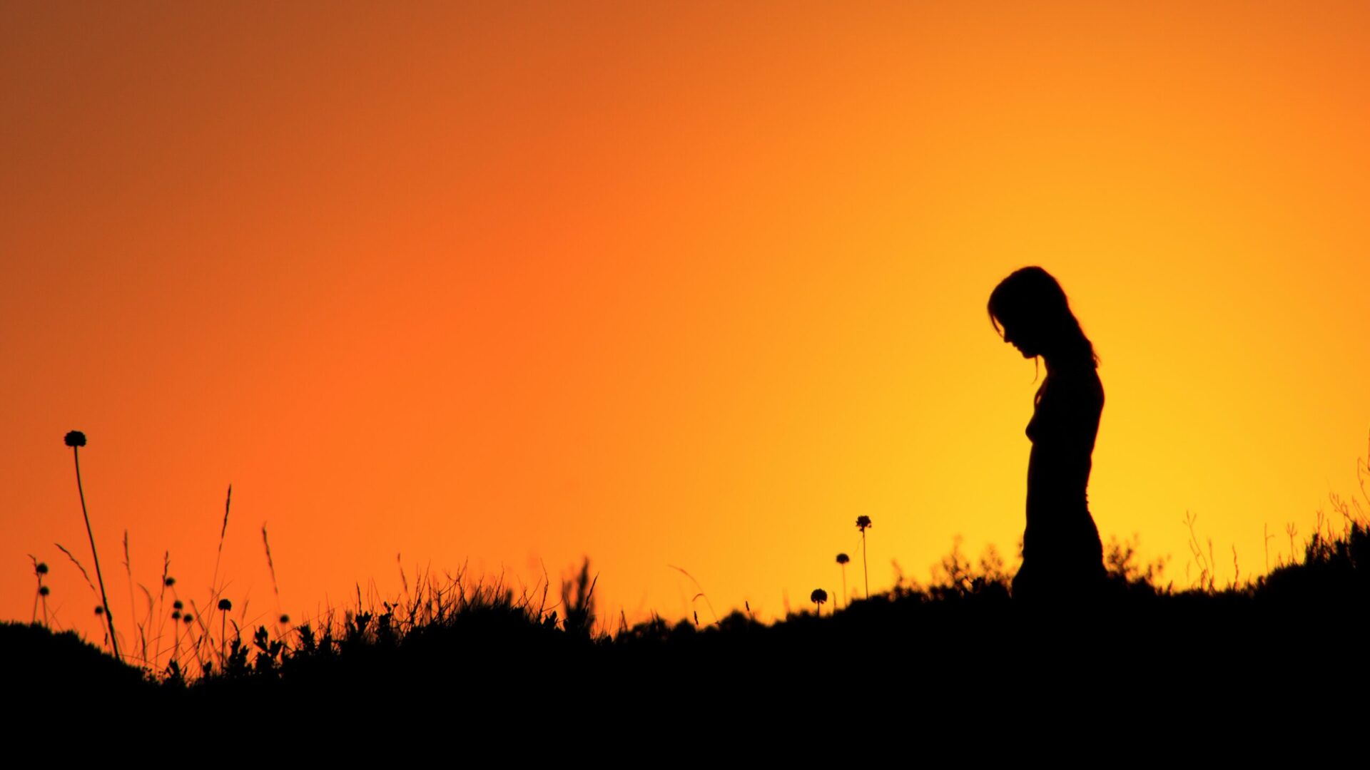 A person standing in the grass at sunset.